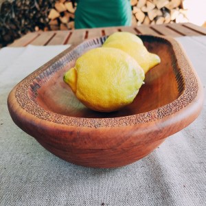 Činija od drveta kajsije